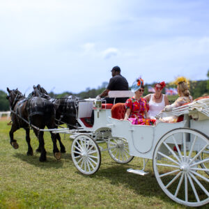 HORSE HOUND AND HUNT ALL-INCLUSIVE SPRING SOCIAL PARTY