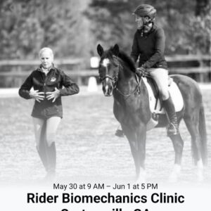 RIDER BIOMECHANICS CLINIC - AUDITOR