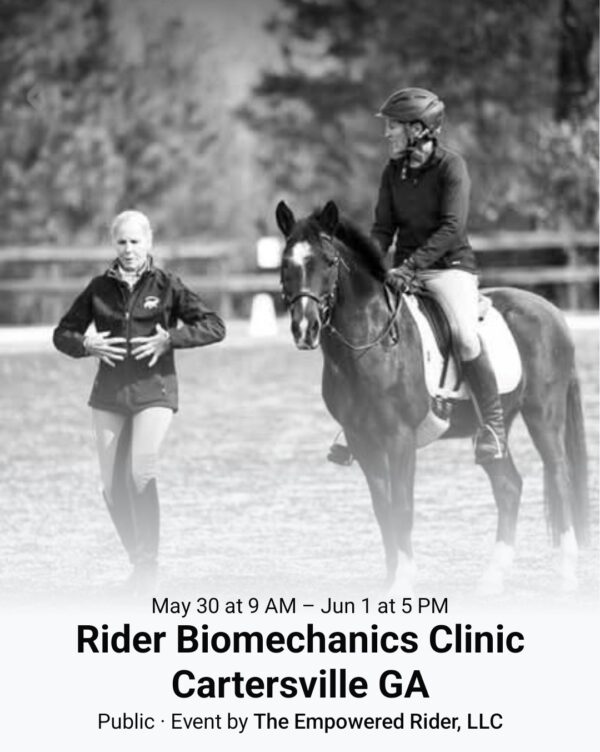 RIDER BIOMECHANICS CLINIC - AUDITOR