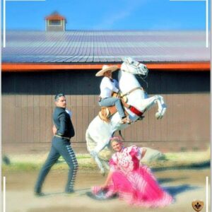FALL COUNTRY AFFAIR