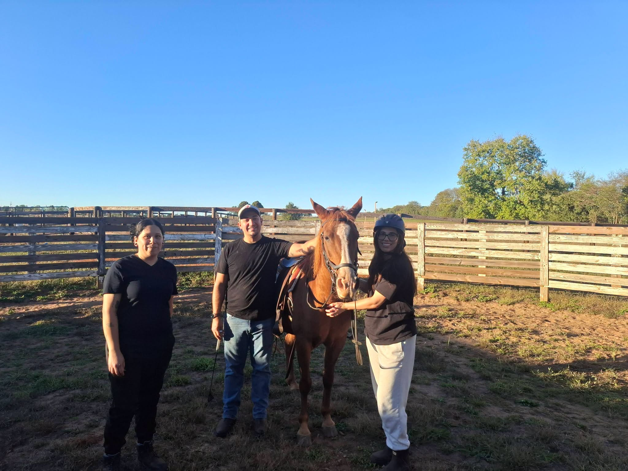 HORSEMANSHIP 101 CLINIC